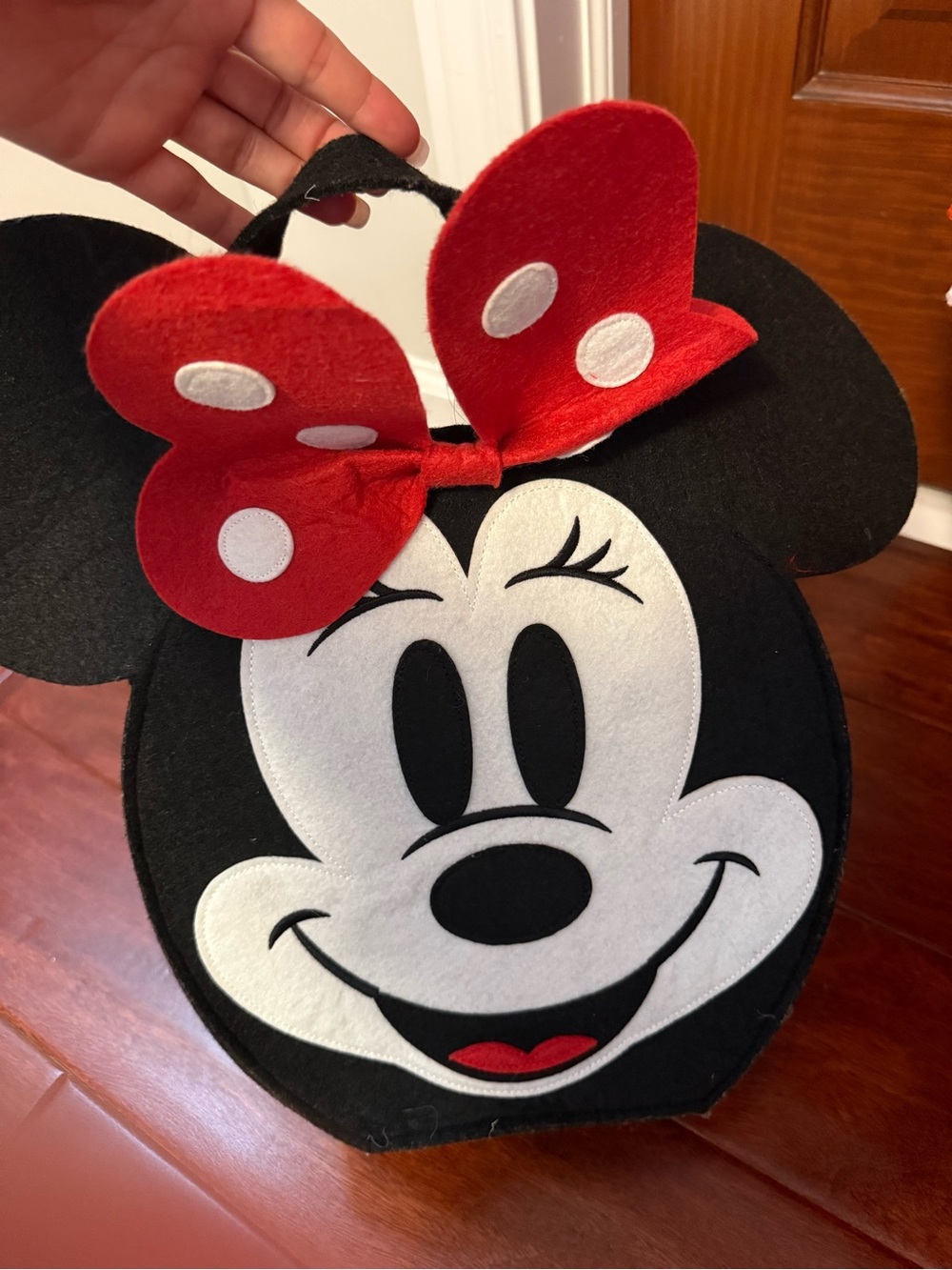 Pottery Barn Kids Minnie Mouse Costume Great Condition - Picture 7 of 7